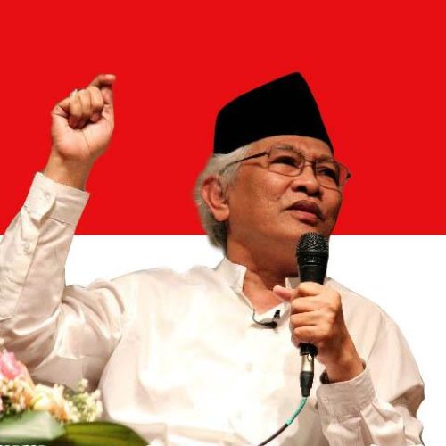 gus mus