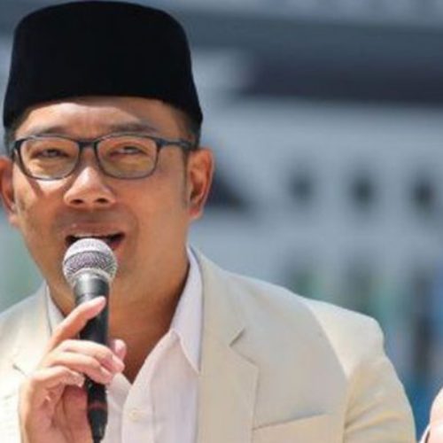 kang emil