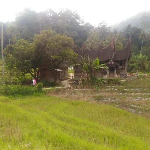 wali minangkabau