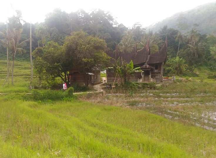 wali minangkabau