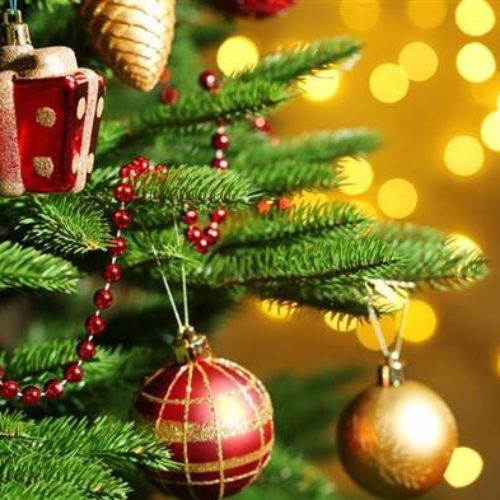 Pohon Natal