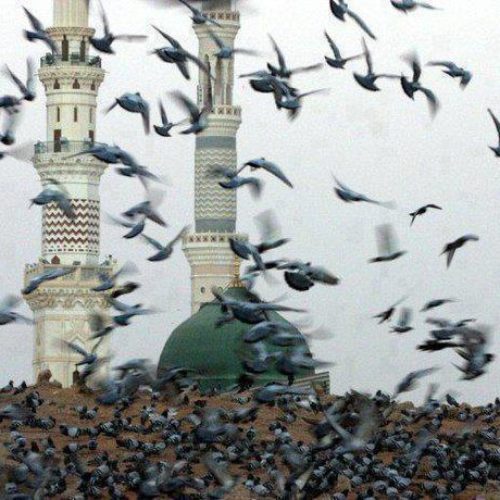 islam dan terorisme islam dan terorisme