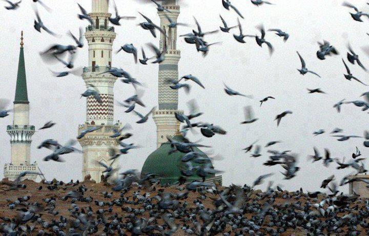 islam dan terorisme