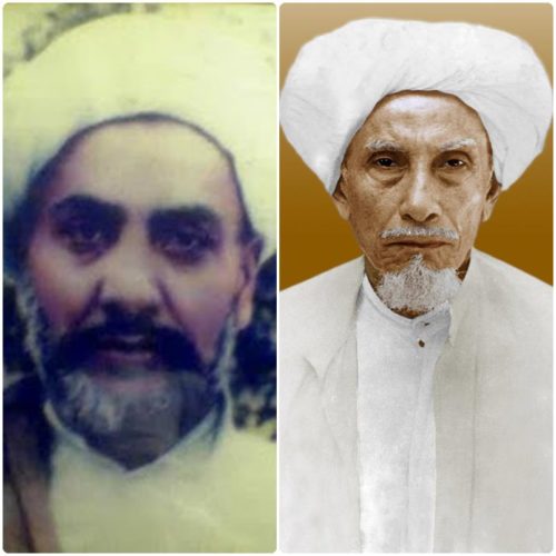 habib ali dan habib alwy