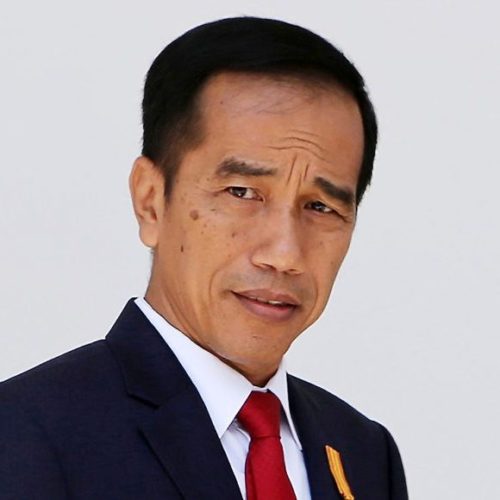jokowi jokowi