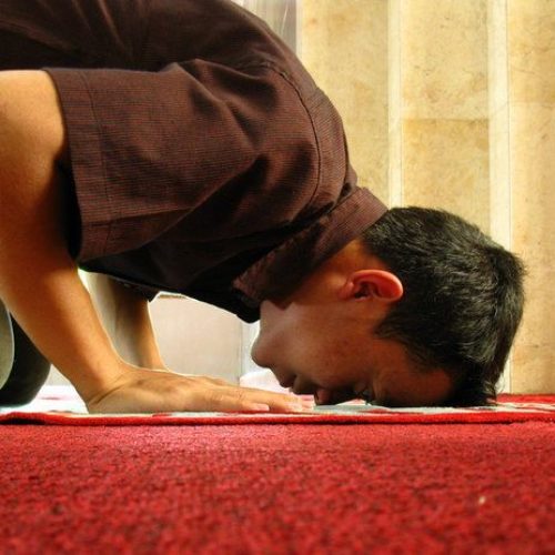 sujud