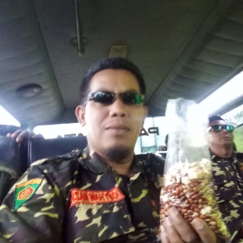 relawan saptosari