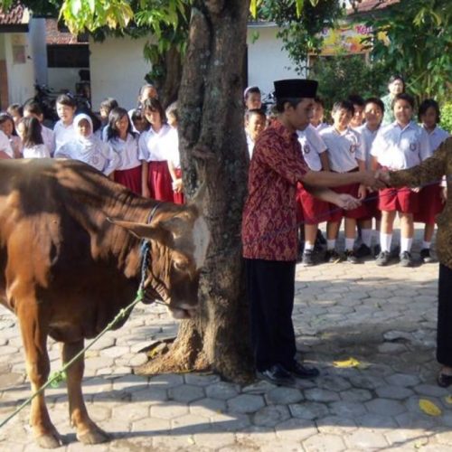 qurban di sekolah
