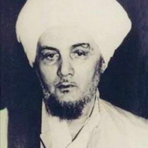 habib neon