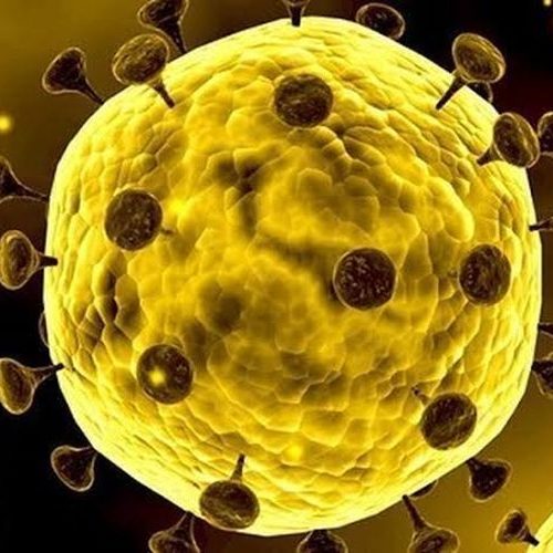 Bukan Corona, Ini Virus Paling Berbahaya di Dunia Bukan Corona, Ini Virus Paling Berbahaya di Dunia