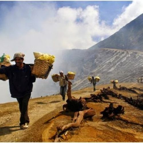 Dosa Rontok Karena Keringat Pekerja