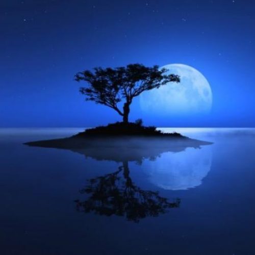 Makna dan Keutamaan Malam Lailatul Qadar