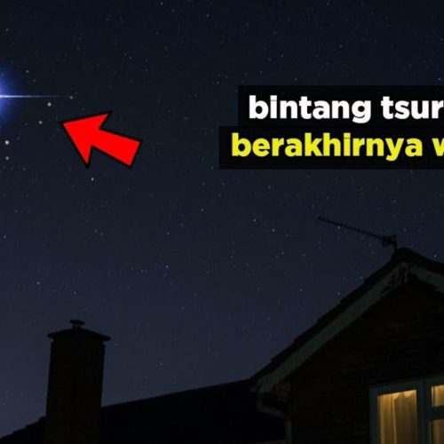 Bintang Tsurayya dan Misteri Berakhirnya Wabah Virus Covid-19 Bintang Tsurayya dan Misteri Berakhirnya Wabah Virus Covid-19