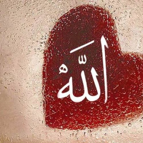 Mengenal Allah Sebagai Robbi dan Murobbi