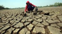 Menghadapi Musim Kemarau di Kabupaten Gunung Kidul Dengan Sistem Pemanenan Air Hujan