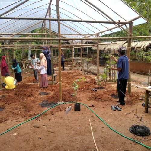 Kegiatan Labsos UNU Yogyakarta di Pesantren Al-Mumtaz Gunungkidul Kegiatan Labsos UNU Yogyakarta di Pesantren Al-Mumtaz Gunungkidul