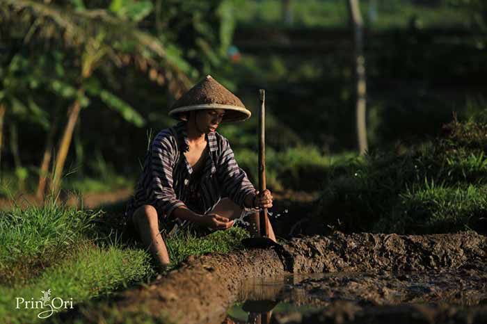 Kiat Mencapai Kehidupan Sejahtera “Subjective Well-being” Melalui Qanaah dan Sabar