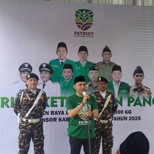 Panen Raya Lele 12 Ton PC GP Ansor Bantul